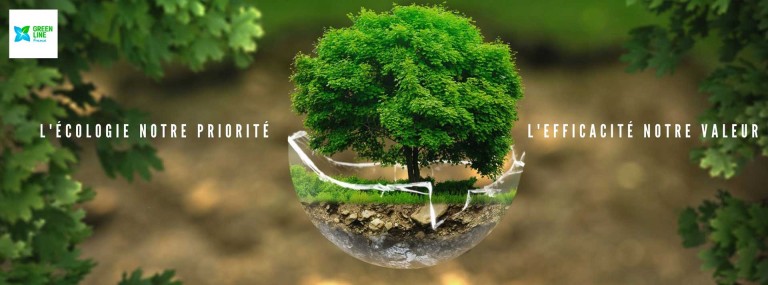 Hygiène et écologie à Paris, Bruxelles et Luxembourg Ville : pourquoi les particuliers se tournent vers les produits professionnels ?