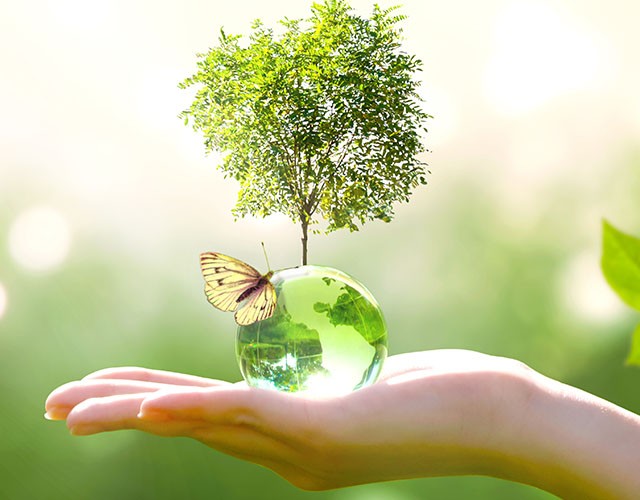 Hygiène et maintenance : les tendances 2025 à connaître à Marseille, Bruxelles et Luxembourg avec Green Line France