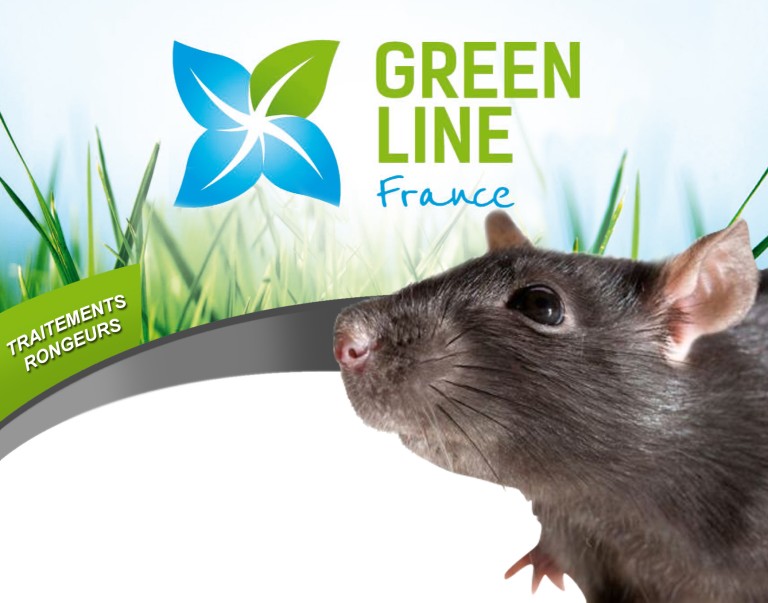 TRAITEMENT INSECTICIDES ET RONGEURS