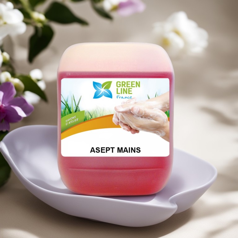ASEPT MAINS 5L - GEL NETTOYANT POUR LES MAINS ANTIBACTERIEN