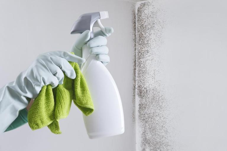 Solutions écologiques pour l'entretien efficace de vos bâtiments